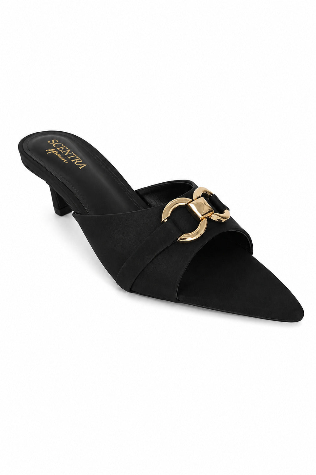 Vittoria Horsebit Pointed-Toe Kitten Heel Mules